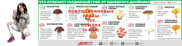 спайс Мегион
