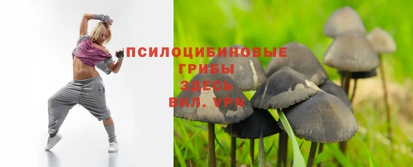 таблы Медногорск