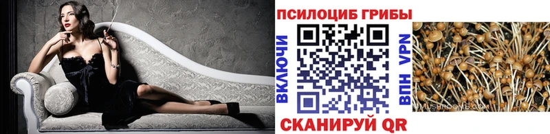 Галлюциногенные грибы Cubensis  мега зеркало  Белоусово 